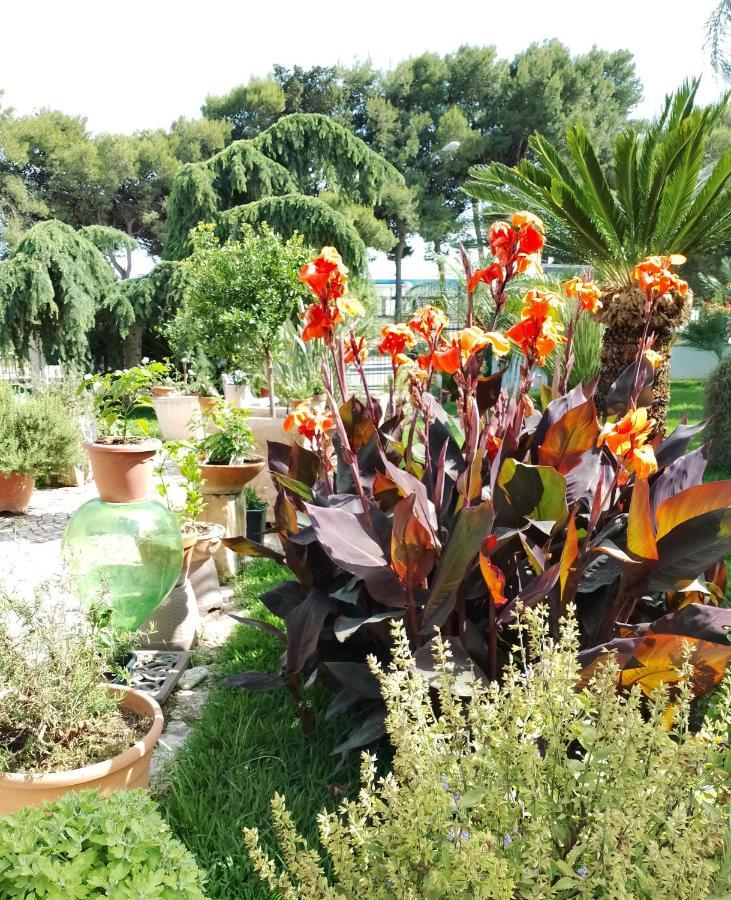 B & B Paradise Melendugno Zewnętrze zdjęcie
