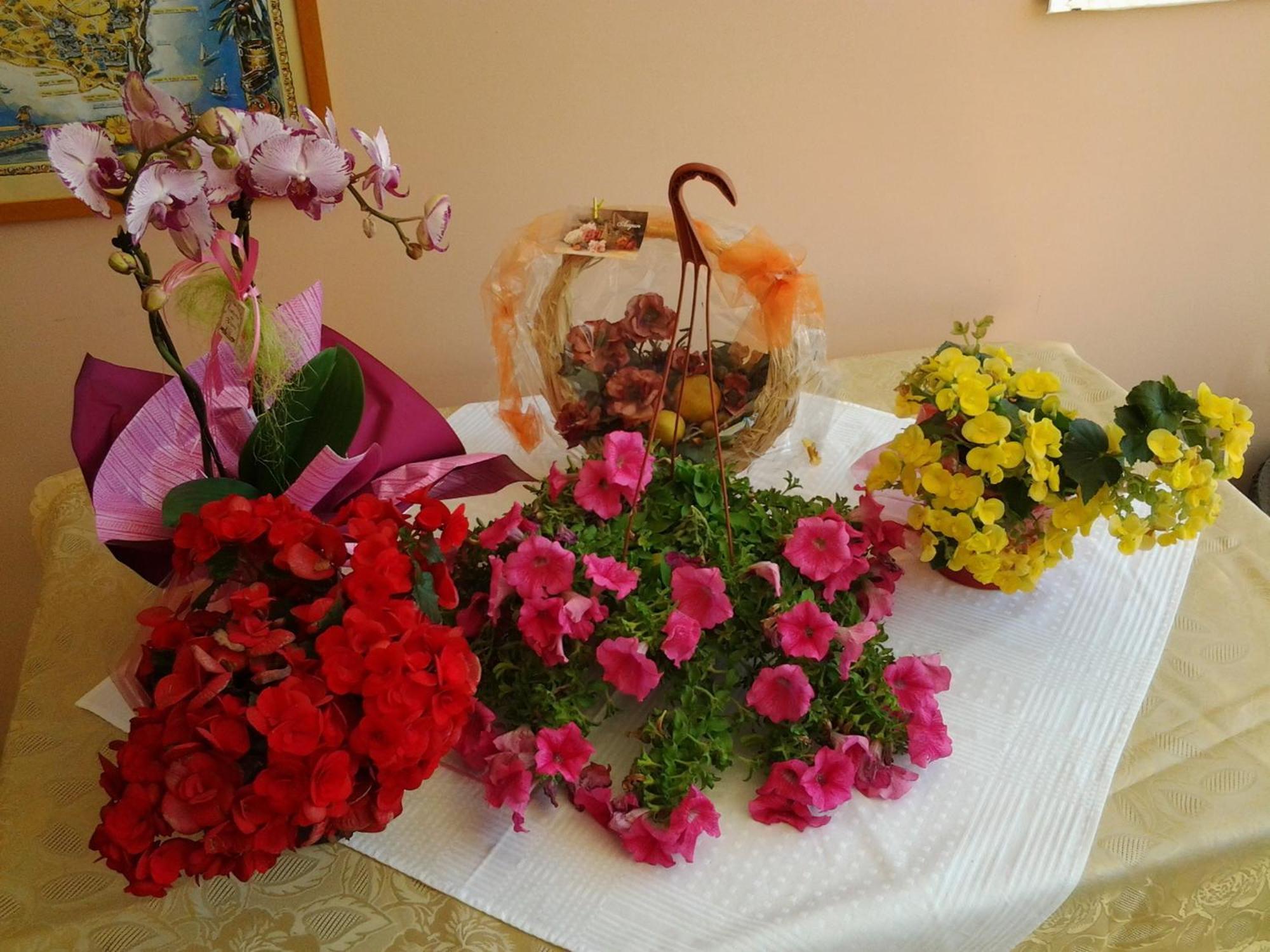 B & B Paradise Melendugno Zewnętrze zdjęcie